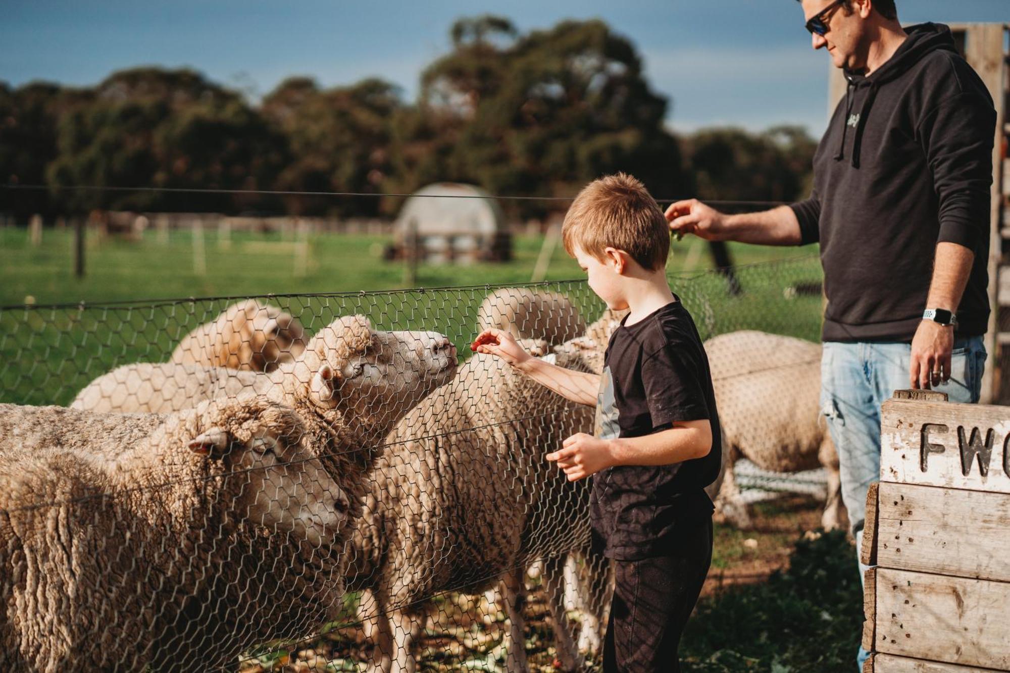 Freshwater Creek Cottages & Farm Stay 토키 외부 사진