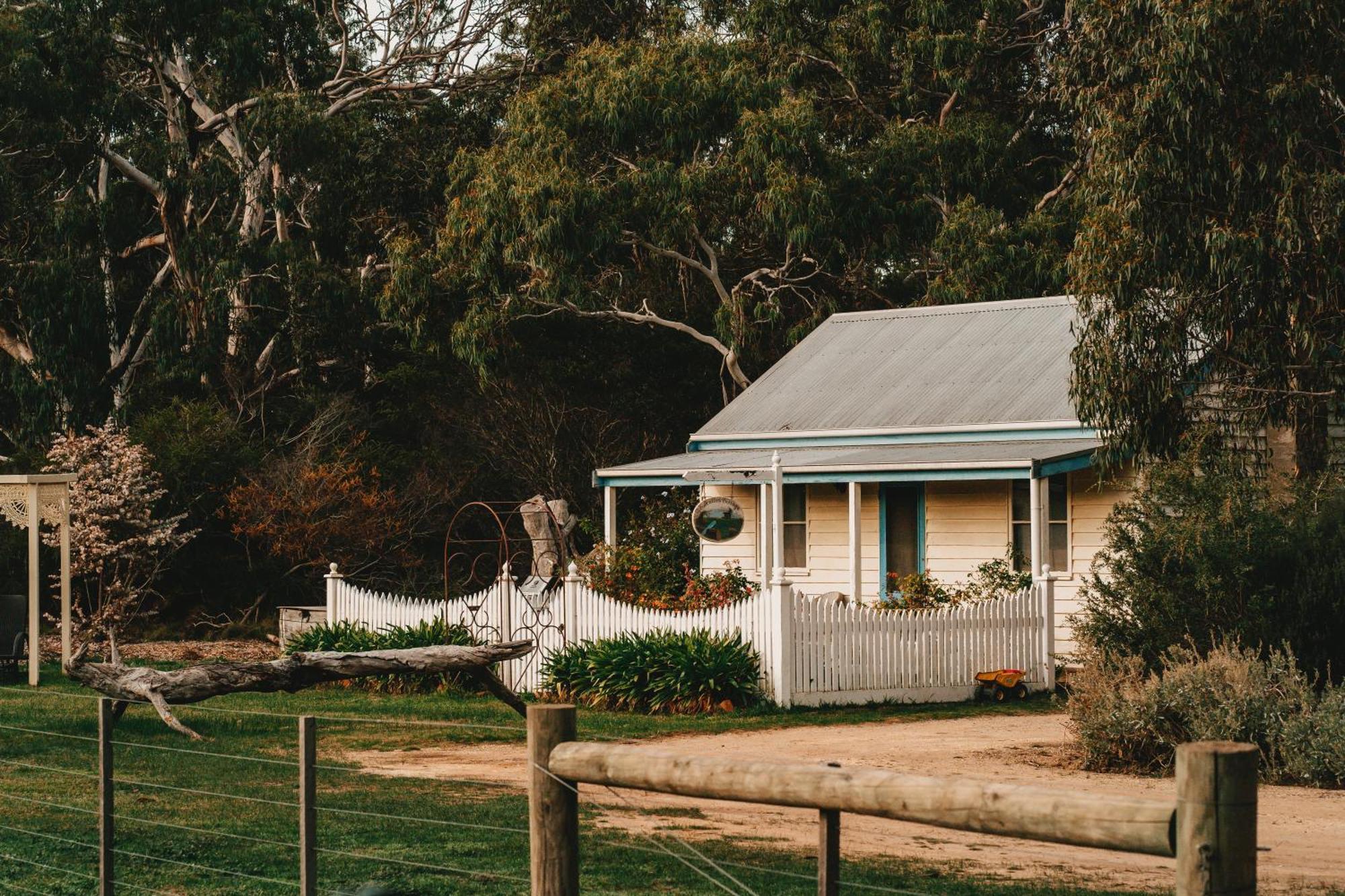 Freshwater Creek Cottages & Farm Stay 토키 외부 사진