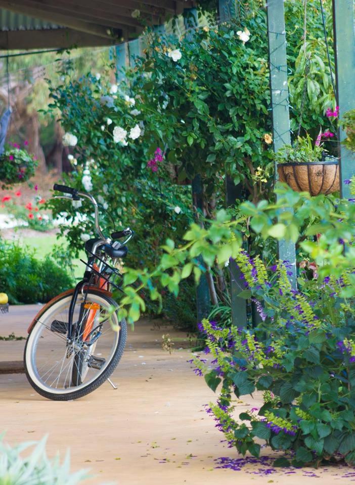 Freshwater Creek Cottages & Farm Stay 토키 외부 사진