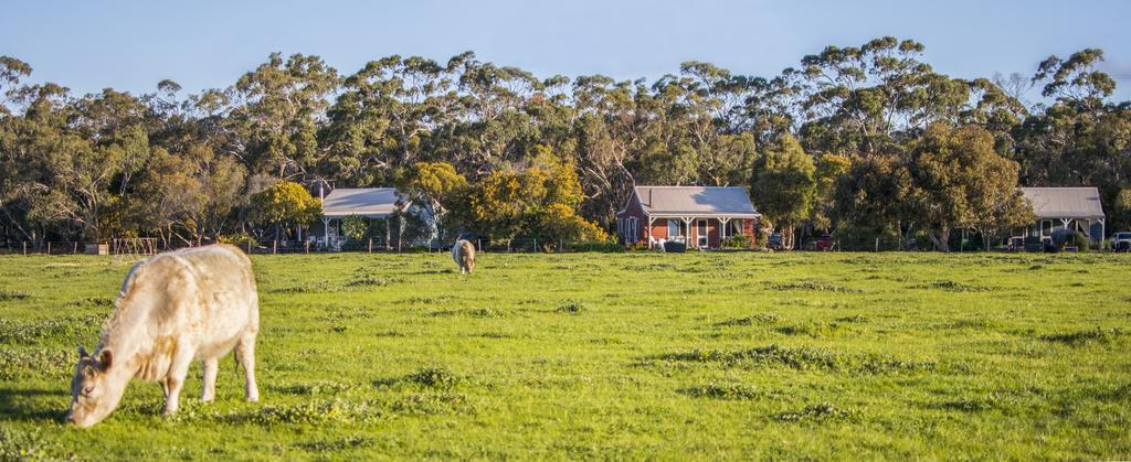 Freshwater Creek Cottages & Farm Stay 토키 외부 사진